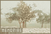 Desir�e